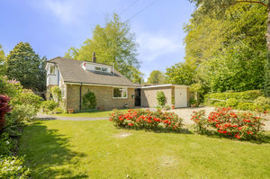 Photo 2- click for photo gallery